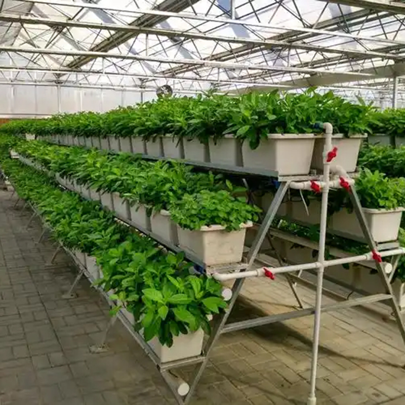 临沧市植物工厂温室大棚 - 一站式服务