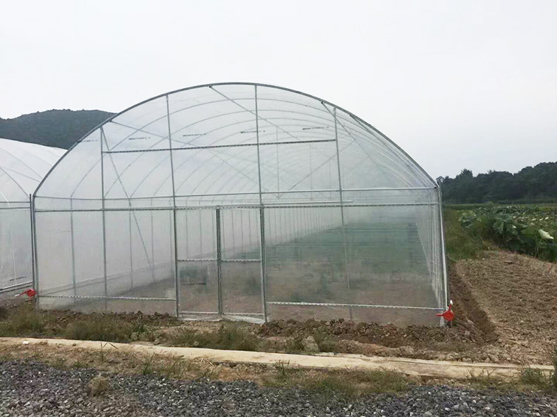 临沧市薄膜大棚蔬菜大棚 - 一站式服务